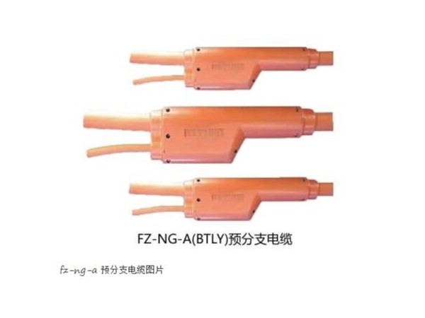 FZ-NG-A(FZ-BTLY)防火分支電纜